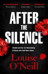 After the Silence: The An Post Irish Crime Novel of the Year kaina ir informacija | Fantastinės, mistinės knygos | pigu.lt