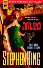 Joyland kaina ir informacija | Fantastinės, mistinės knygos | pigu.lt
