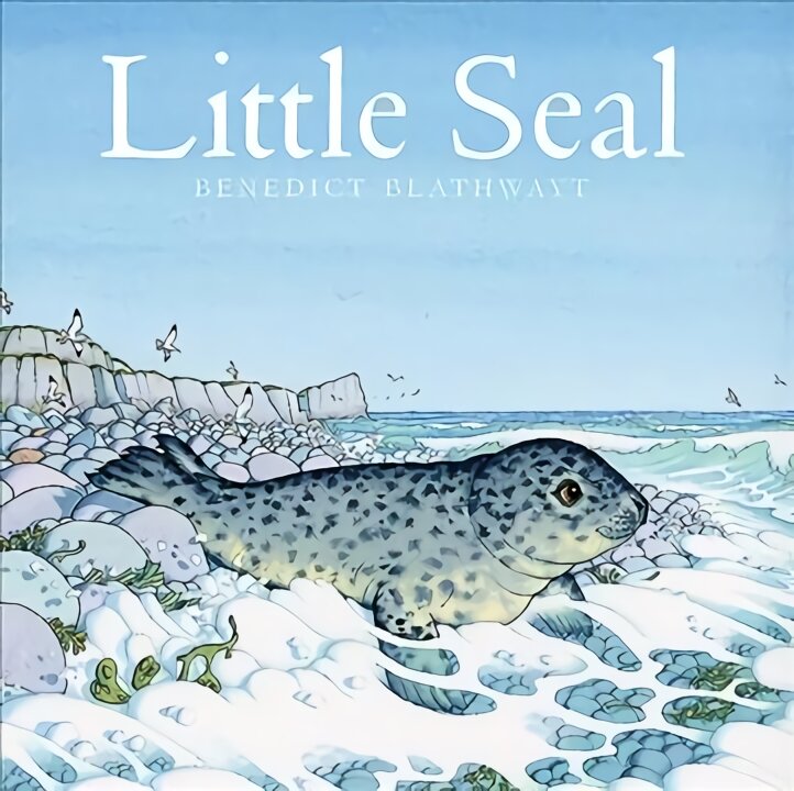 Little Seal цена и информация | Knygos mažiesiems | pigu.lt