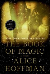 Book of Magic: A Novelvolume 4 цена и информация | Fantastinės, mistinės knygos | pigu.lt