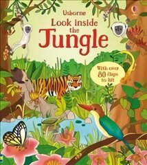 Look Inside the Jungle цена и информация | Книги для самых маленьких | pigu.lt