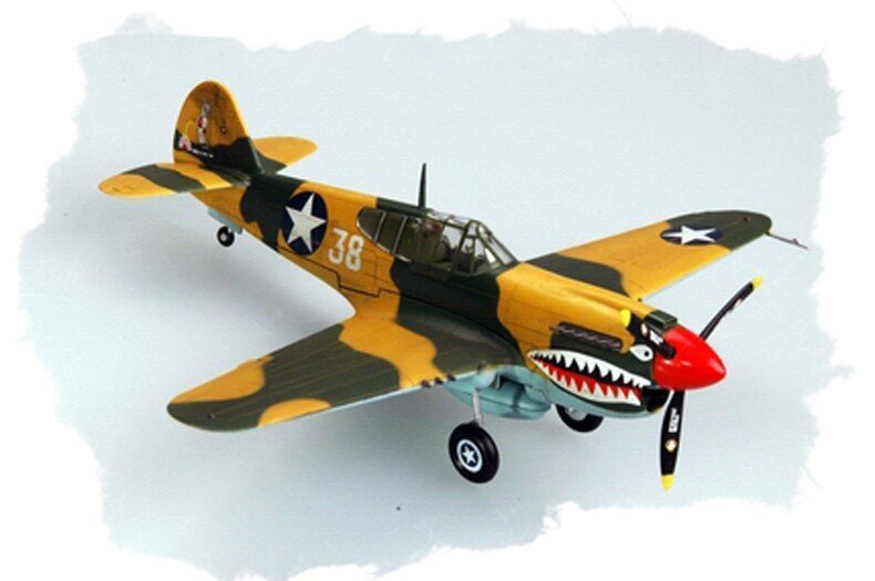 Plastikinis modelis - Curtiss P-40 Warhawk kaina ir informacija | Kolekciniai modeliukai | pigu.lt