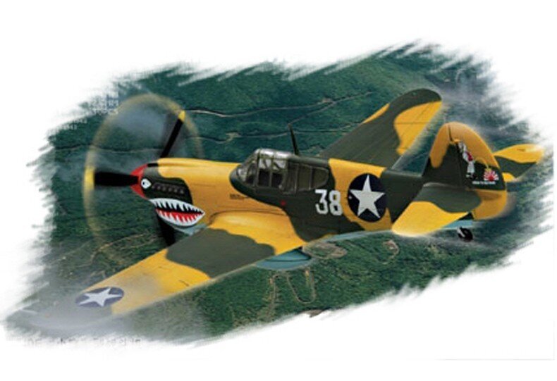 Plastikinis modelis - Curtiss P-40 Warhawk kaina ir informacija | Kolekciniai modeliukai | pigu.lt