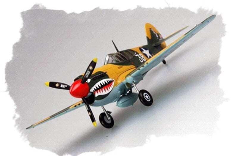 Plastikinis modelis - Curtiss P-40 Warhawk kaina ir informacija | Kolekciniai modeliukai | pigu.lt