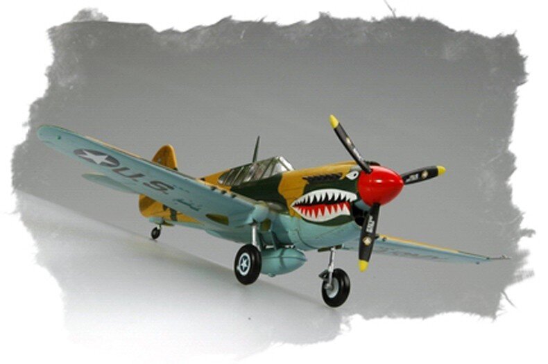 Plastikinis modelis - Curtiss P-40 Warhawk kaina ir informacija | Kolekciniai modeliukai | pigu.lt