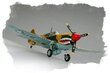 Plastikinis modelis - Curtiss P-40 Warhawk kaina ir informacija | Kolekciniai modeliukai | pigu.lt