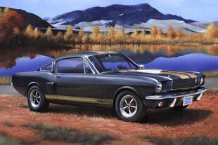 Revell Пластиковая модель Shelby Mustang GT 350 H цена и информация | Склеиваемые модели | pigu.lt