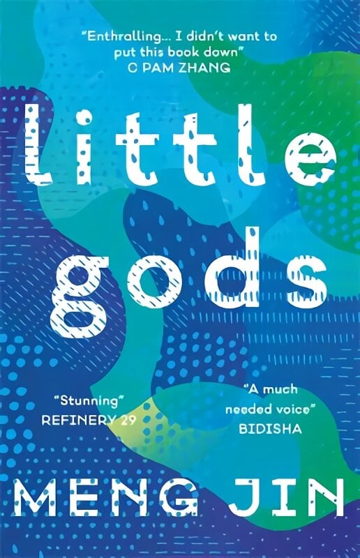 Little Gods цена и информация | Fantastinės, mistinės knygos | pigu.lt