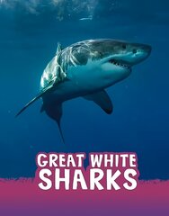 Great White Sharks цена и информация | Книги для подростков  | pigu.lt