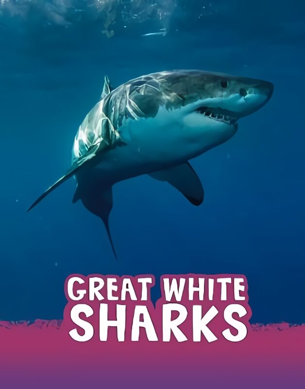 Great White Sharks kaina ir informacija | Knygos paaugliams ir jaunimui | pigu.lt