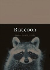 Raccoon kaina ir informacija | Enciklopedijos ir žinynai | pigu.lt