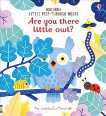 Are you there little Owl? kaina ir informacija | Knygos mažiesiems | pigu.lt