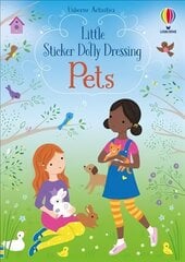 Little Sticker Dolly Dressing Pets цена и информация | Книги для малышей | pigu.lt