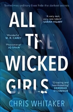 All The Wicked Girls: The addictive thriller with a huge heart, for fans of Sharp Objects цена и информация | Fantastinės, mistinės knygos | pigu.lt