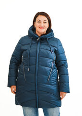 Куртка зимняя цена и информация | Женские куртки | pigu.lt