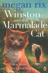 Winston and the Marmalade Cat kaina ir informacija | Knygos paaugliams ir jaunimui | pigu.lt