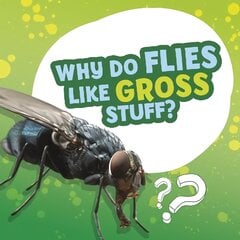 Why Do Flies Like Gross Stuff? kaina ir informacija | Knygos paaugliams ir jaunimui | pigu.lt