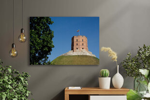Картина Башня замка Гедиминаса, 40 x 60 см цена и информация | Репродукции, картины | pigu.lt
