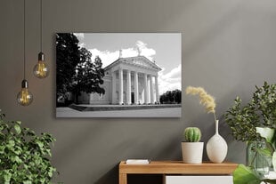 Paveikslas Vilniaus arkikatedra (nespalvota), 40x60 cm kaina ir informacija | Reprodukcijos, paveikslai | pigu.lt