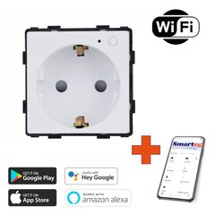 Wi-Fi lizdo modulis Smarteg kaina ir informacija | Elektros jungikliai, rozetės | pigu.lt