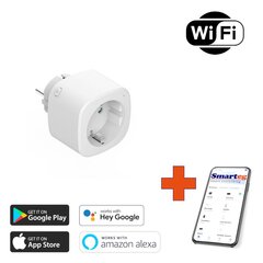 Išmanusis Wi-Fi lizdas Smarteg 16A 3680W kaina ir informacija | Elektros jungikliai, rozetės | pigu.lt