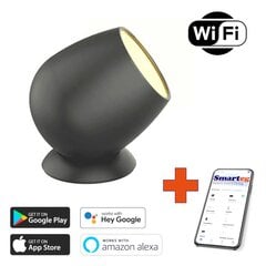 LED Wi-Fi dekoratyvinis šviestuvas kaina ir informacija | Lauko šviestuvai | pigu.lt
