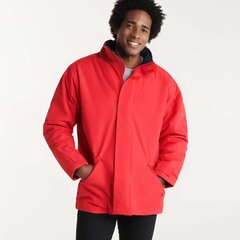 Куртка Europa красная цена и информация | Мужские куртки | pigu.lt