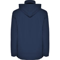 Куртка Europa темно-синяя цена и информация | Мужские куртки | pigu.lt