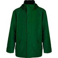 Мужская куртка Europa, зеленая цена и информация | Мужские куртки | pigu.lt
