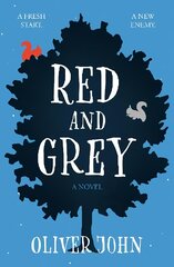 Red and Grey цена и информация | Книги для подростков  | pigu.lt