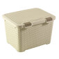 Curver Rattan Style dėžė daiktams, 50x45x32,5 cm kaina ir informacija | Daiktadėžės | pigu.lt