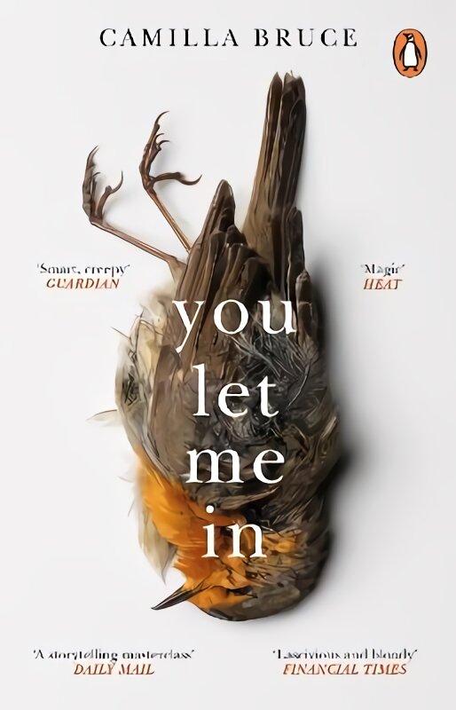 You Let Me In: The acclaimed, unsettling novel of haunted love, revenge and the nature of truth kaina ir informacija | Fantastinės, mistinės knygos | pigu.lt