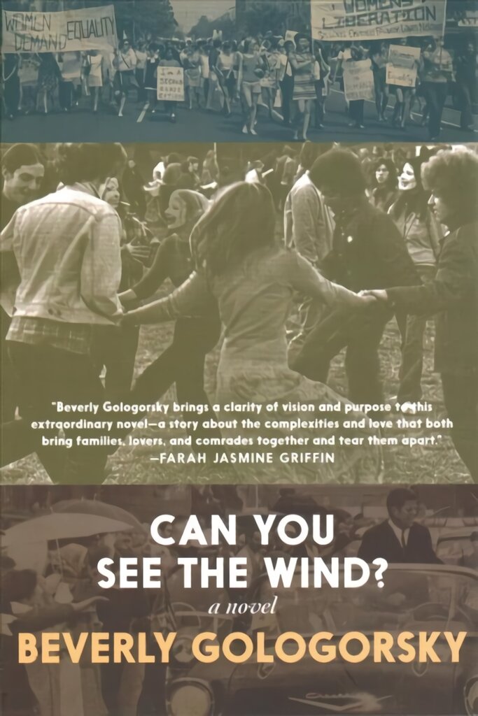 Can You See The Wind? kaina ir informacija | Fantastinės, mistinės knygos | pigu.lt