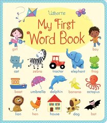 My First Word Book kaina ir informacija | Knygos mažiesiems | pigu.lt