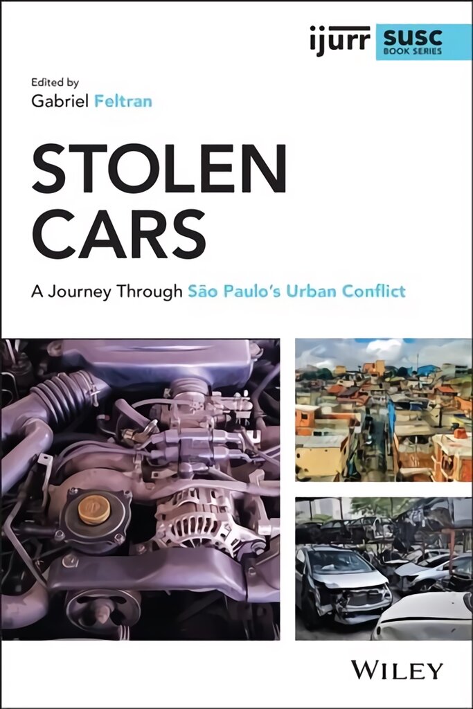 Stolen Cars - A Journey Through Sao Paulo's Urban Conflict: A Journey Through Sao Paulo's Urban Conflict kaina ir informacija | Socialinių mokslų knygos | pigu.lt