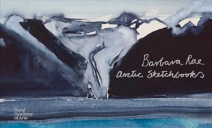 Barbara Rae: Arctic Sketchbooks цена и информация | Книги об искусстве | pigu.lt