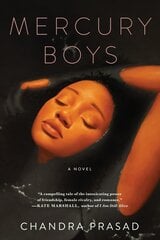 Mercury Boys цена и информация | Книги для подростков и молодежи | pigu.lt