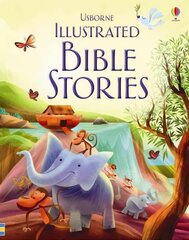 Illustrated Bible Stories kaina ir informacija | Knygos paaugliams ir jaunimui | pigu.lt