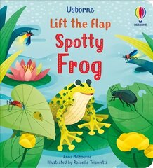 Little Lift and Look Spotty Frog цена и информация | Книги для малышей | pigu.lt