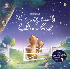 Twinkly Twinkly Bedtime Book kaina ir informacija | Knygos mažiesiems | pigu.lt