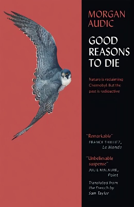 Good Reasons to Die цена и информация | Fantastinės, mistinės knygos | pigu.lt