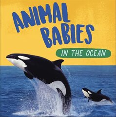 Animal Babies: In the Ocean kaina ir informacija | Knygos paaugliams ir jaunimui | pigu.lt