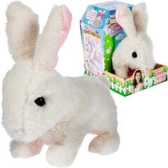 Белый плюшевый кролик с батарейкой BO цена и информация | Игрушки для малышей | pigu.lt