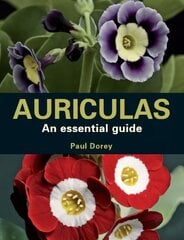 Auriculas: An Essential Guide kaina ir informacija | Knygos apie sodininkystę | pigu.lt