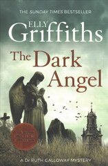 Dark Angel: The Sunday Times Bestseller цена и информация | Фантастика, фэнтези | pigu.lt