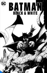 Batman: Black & White цена и информация | Fantastinės, mistinės knygos | pigu.lt