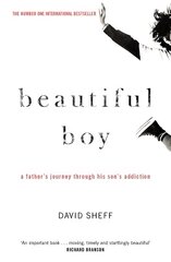 Beautiful Boy: A Father's Journey Through His Son's Addiction kaina ir informacija | Biografijos, autobiografijos, memuarai | pigu.lt