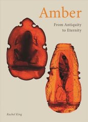 Amber: From Antiquity to Eternity kaina ir informacija | Socialinių mokslų knygos | pigu.lt