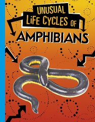 Unusual Life Cycles of Amphibians цена и информация | Книги для подростков  | pigu.lt