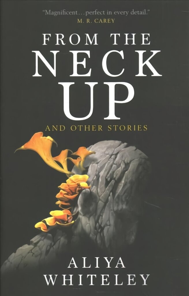 From the Neck Up and Other Stories цена и информация | Fantastinės, mistinės knygos | pigu.lt